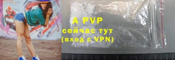 крисы Няндома
