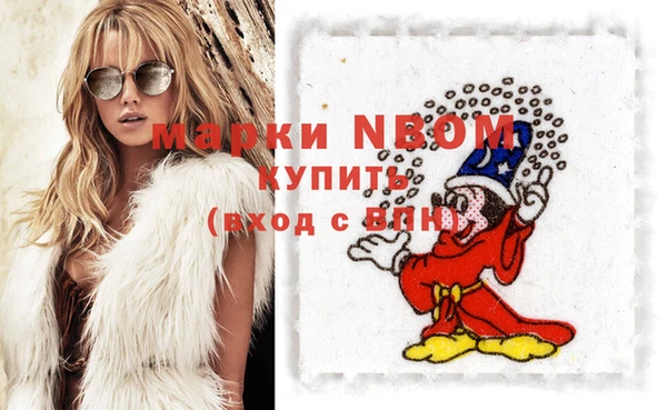 крисы Няндома