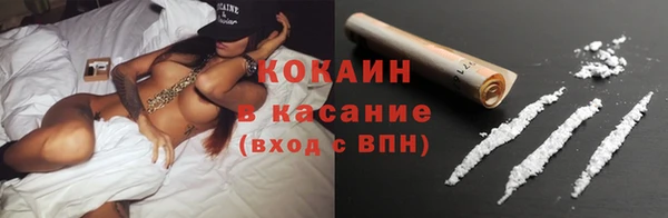 крисы Няндома