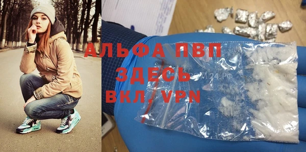 крисы Няндома