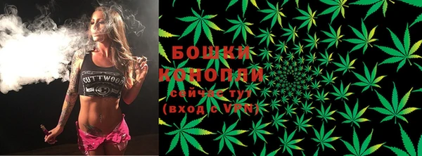 крисы Няндома
