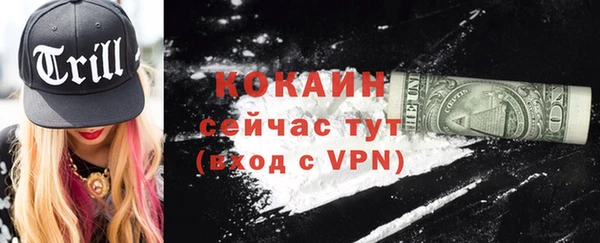 крисы Няндома