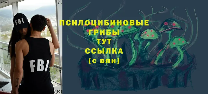 цена наркотик  Богородск  Галлюциногенные грибы Cubensis 