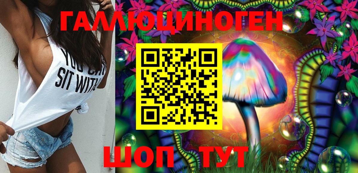 Псилоцибиновые грибы Psilocybine cubensis Богородск