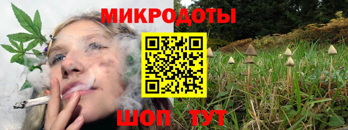 Богородск  Галлюциногенные грибы Psilocybine cubensis  Псилоцибиновые грибы Cubensis  Вход с VPN 