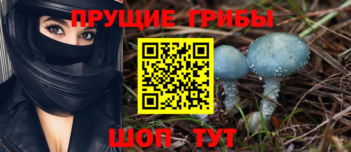 Галлюциногенные грибы Magic Shrooms Богородск